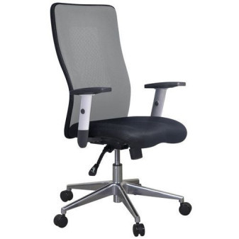 Kancelářská židle Manutan Penelope Top Alu|šedá