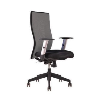 Kancelářská židle Calypso Grand|šedá