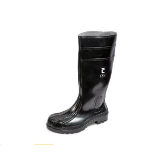 EUROFORT S5 SRC holina